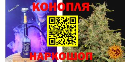 тгк Долгопрудный